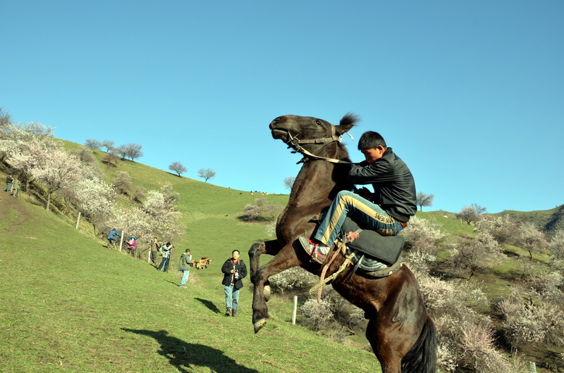 һ������  ������