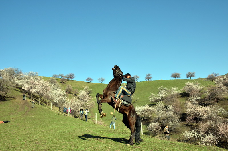 ��   ������