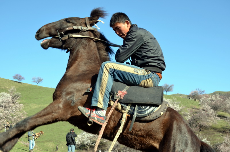 �������  ������