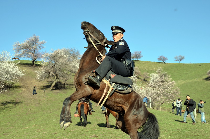 ѱ��  ������