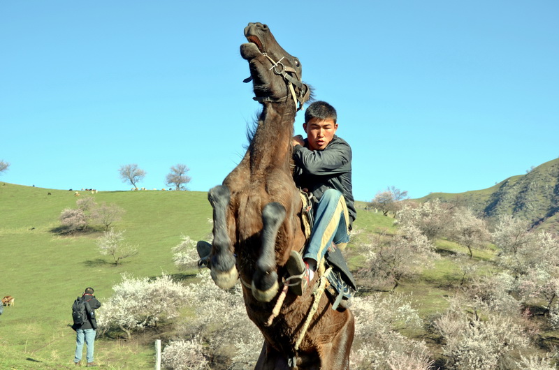 ��Ծ  ������