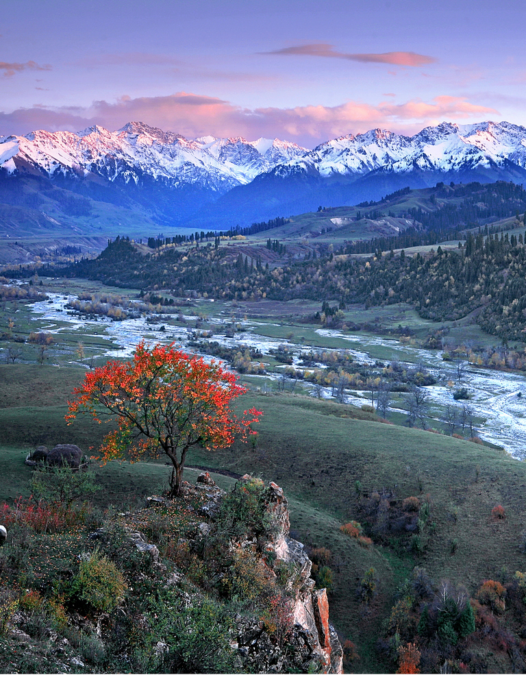 ׳ ��ɽ�ӣ��.jpg