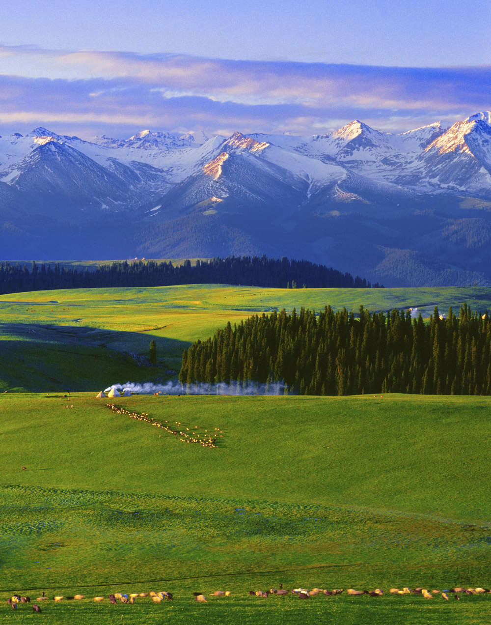 ��������ԭ ���ģ�.jpg