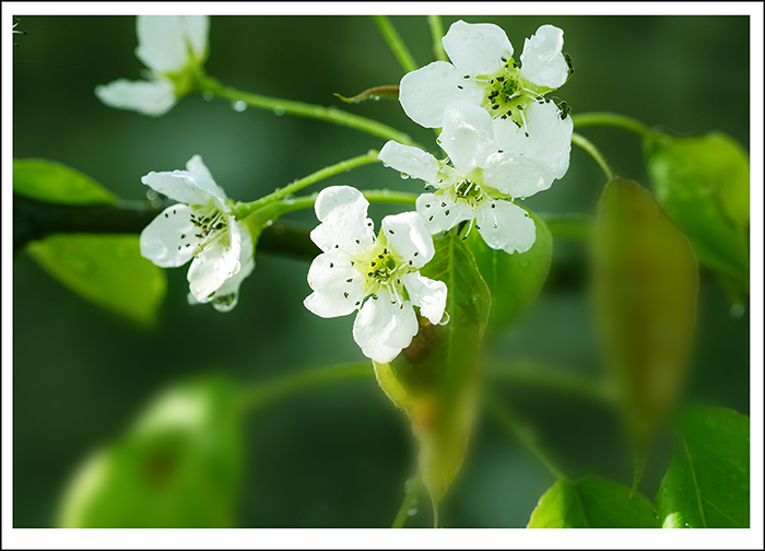 2014��4��26��������Ƭ ����02812.jpg