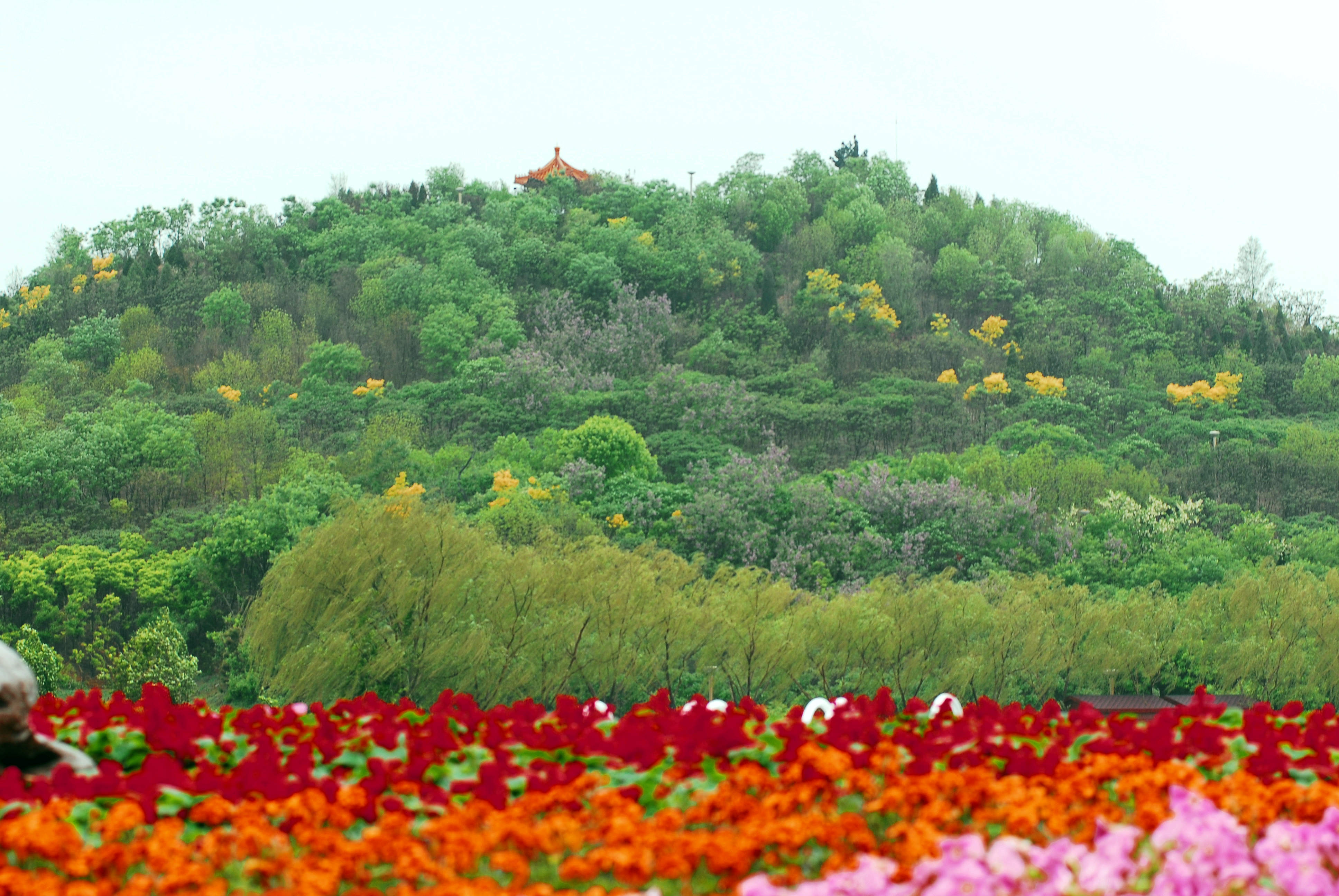 ������ϴ���