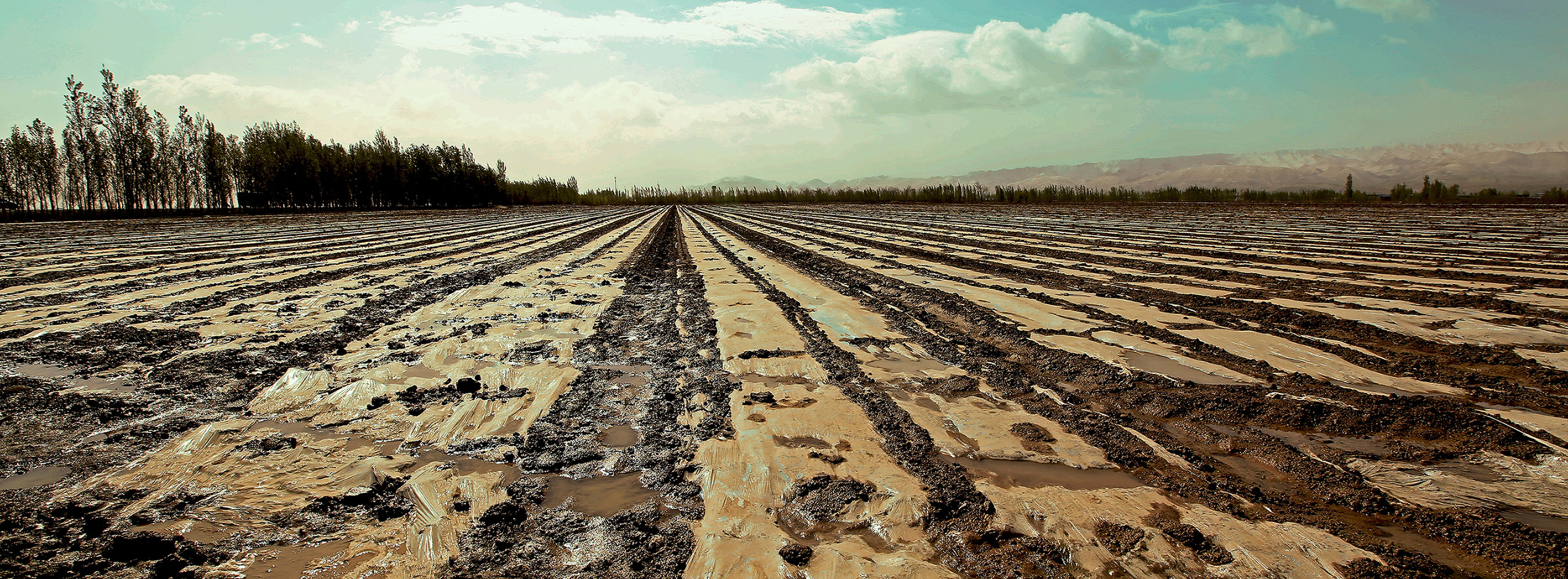 ������������