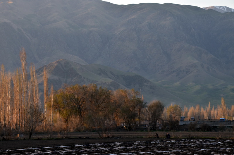 ϼ   ������