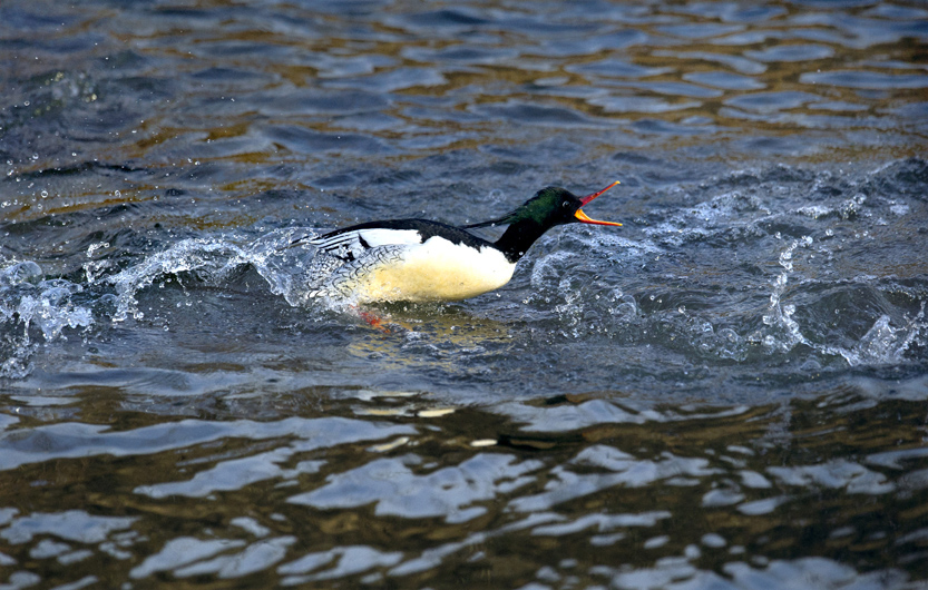 _LFD6025 ����.JPG