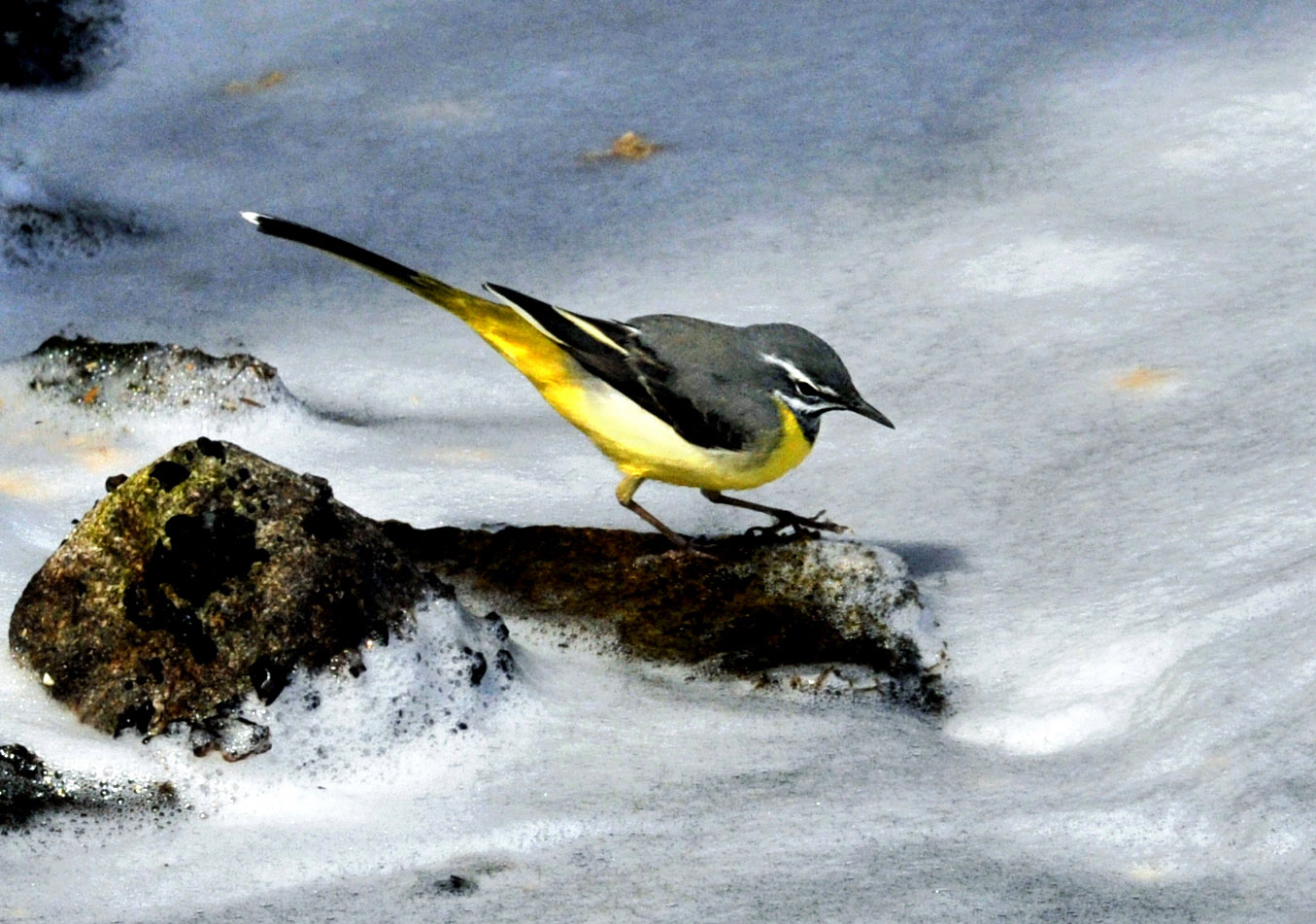 _LFD6114 ����.jpg