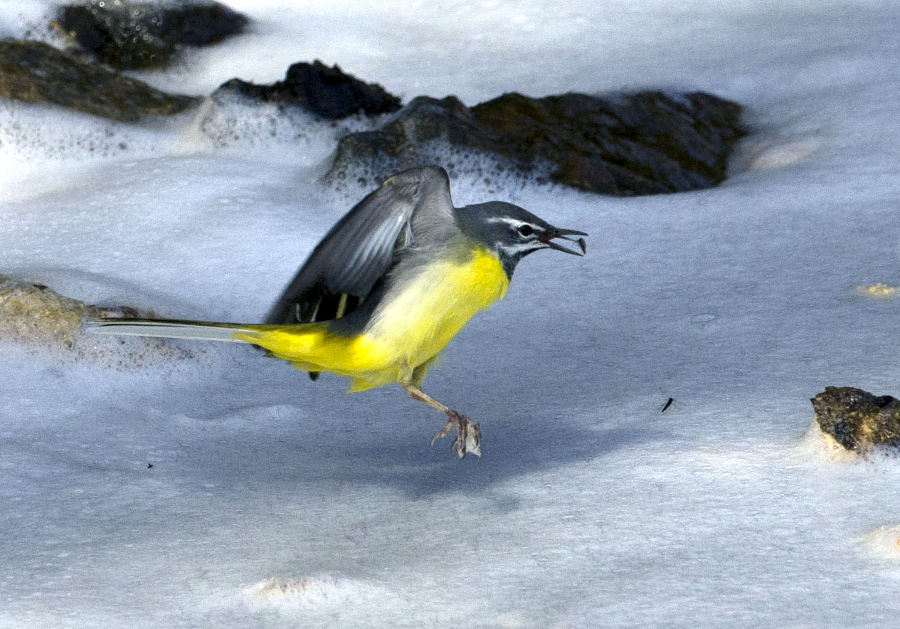 _LFD6093 ����.jpg