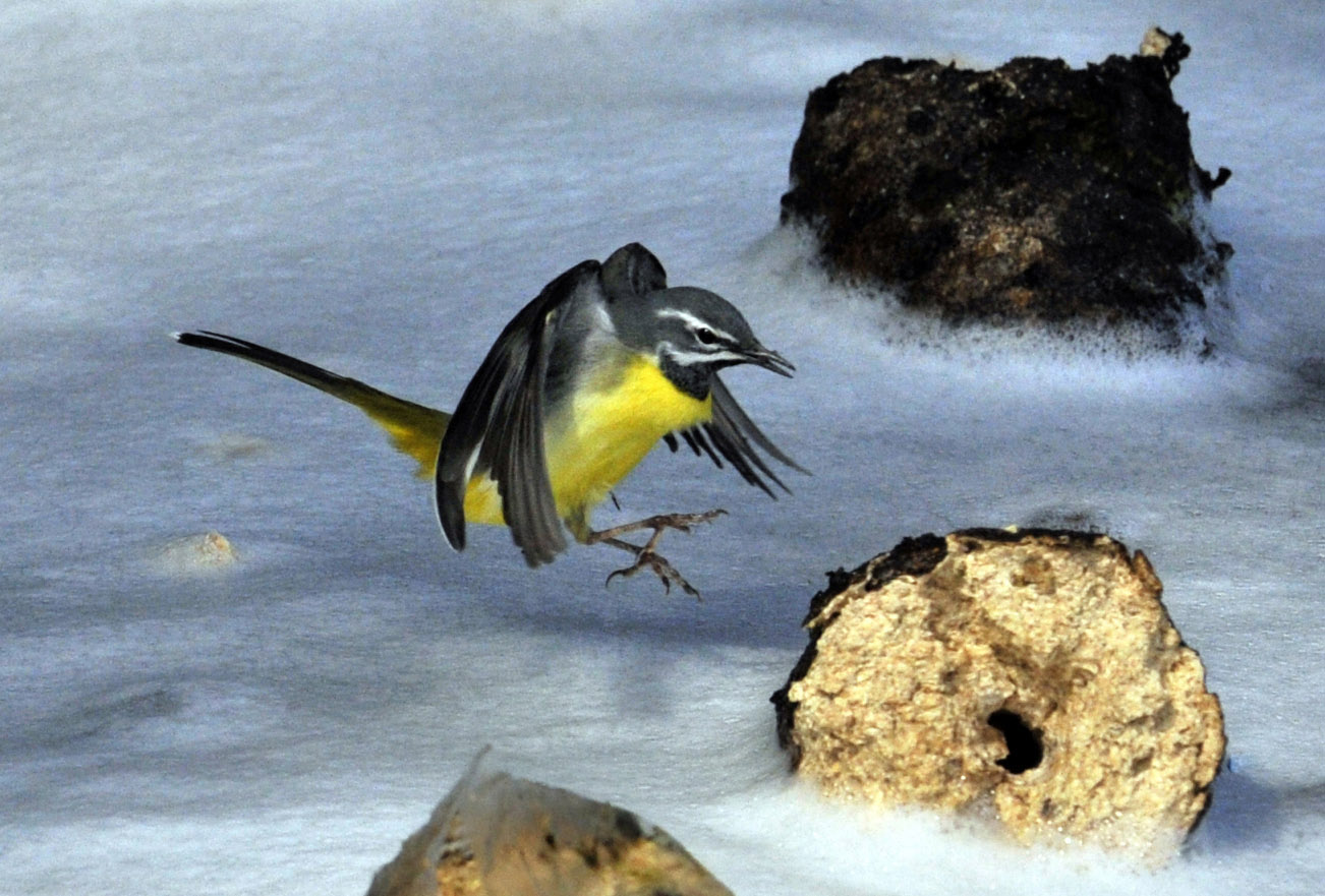 _LFD6100 ����.jpg