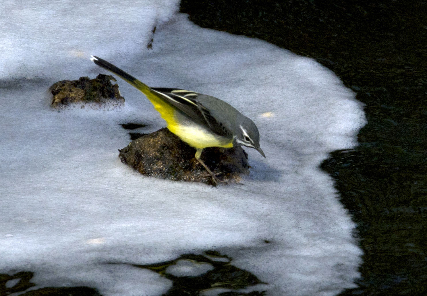 _LFD6072 ����.jpg