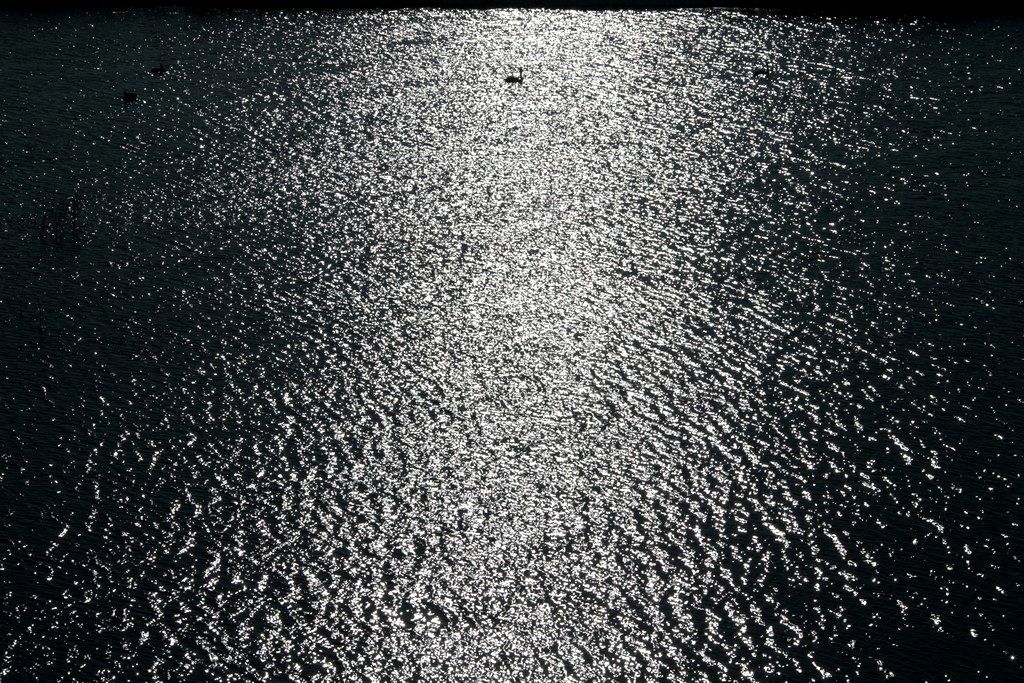 ����-swan lake B-4.jpg