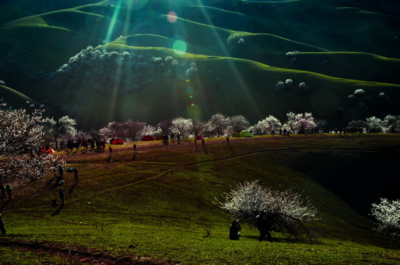 ��    ������