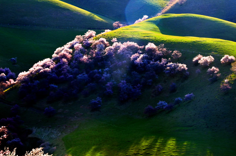 �ӻ���   ������