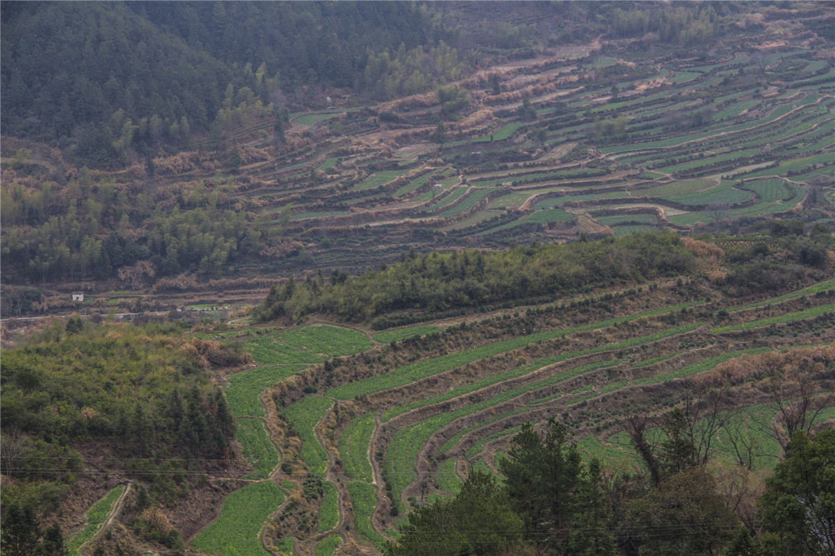 ��Դɽˮ (5).jpg