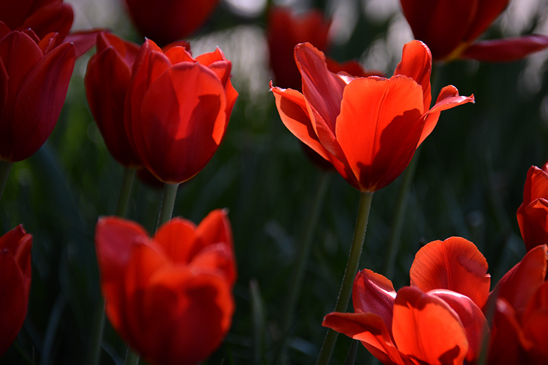 ���� 619ab.jpg