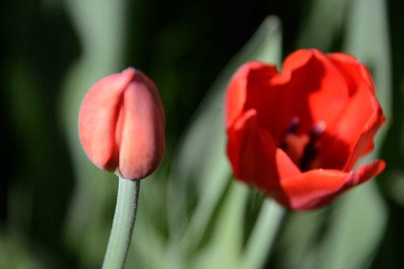 ���� 638ab.jpg