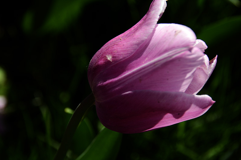 ���� 685ab.jpg