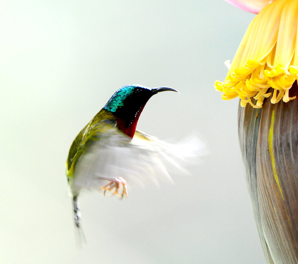 2DSC_0107   4444.jpg