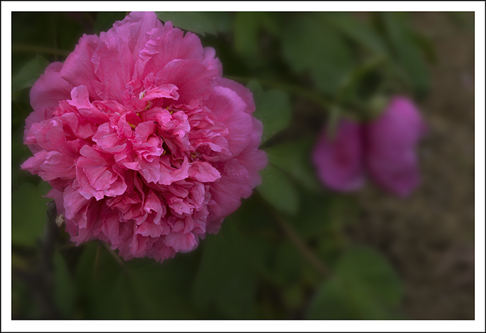 �帱�� 03212.jpg