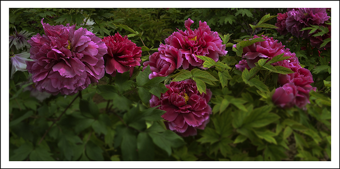 ���� 02112.jpg