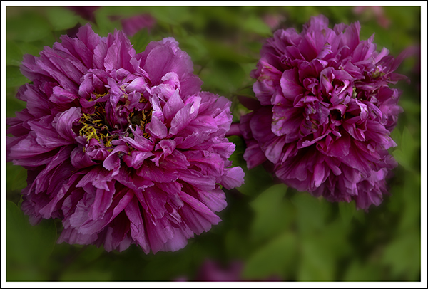 ���� 03012.jpg