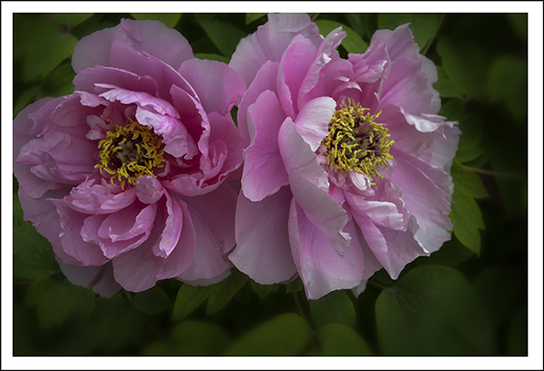 ���� 03312.jpg