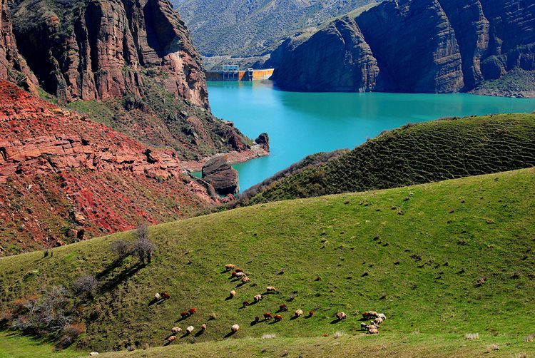 ������ˮ��