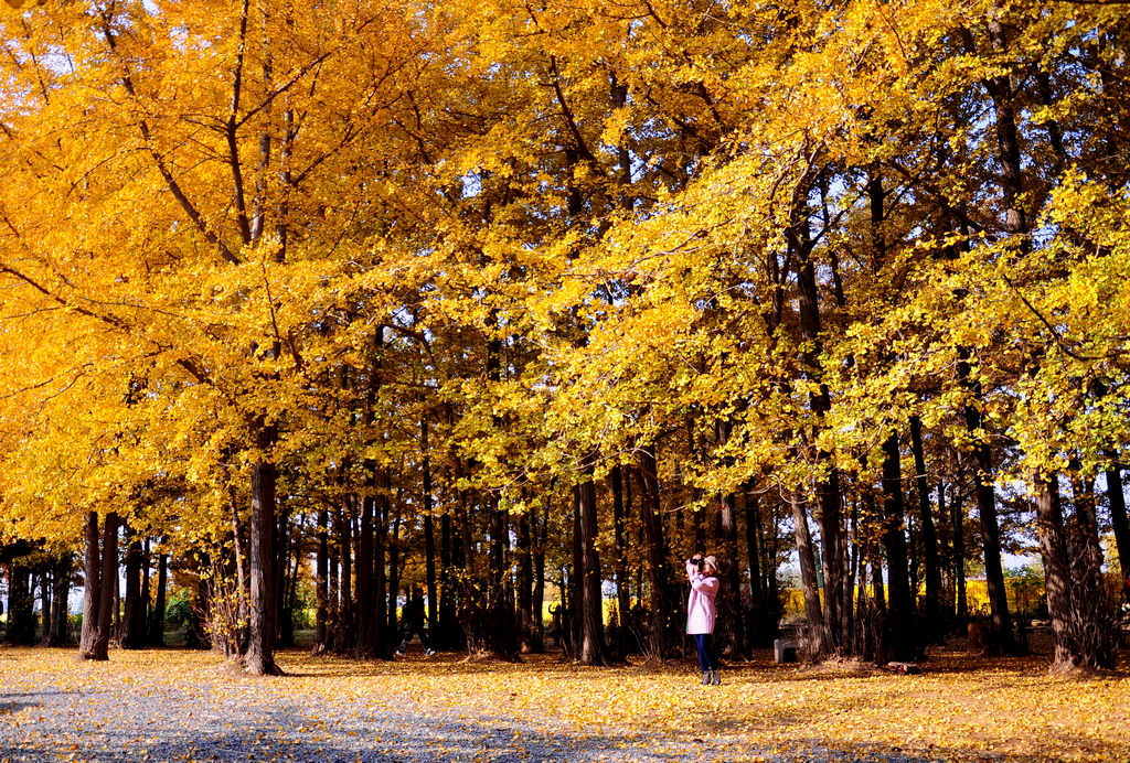 ������- 950.jpg