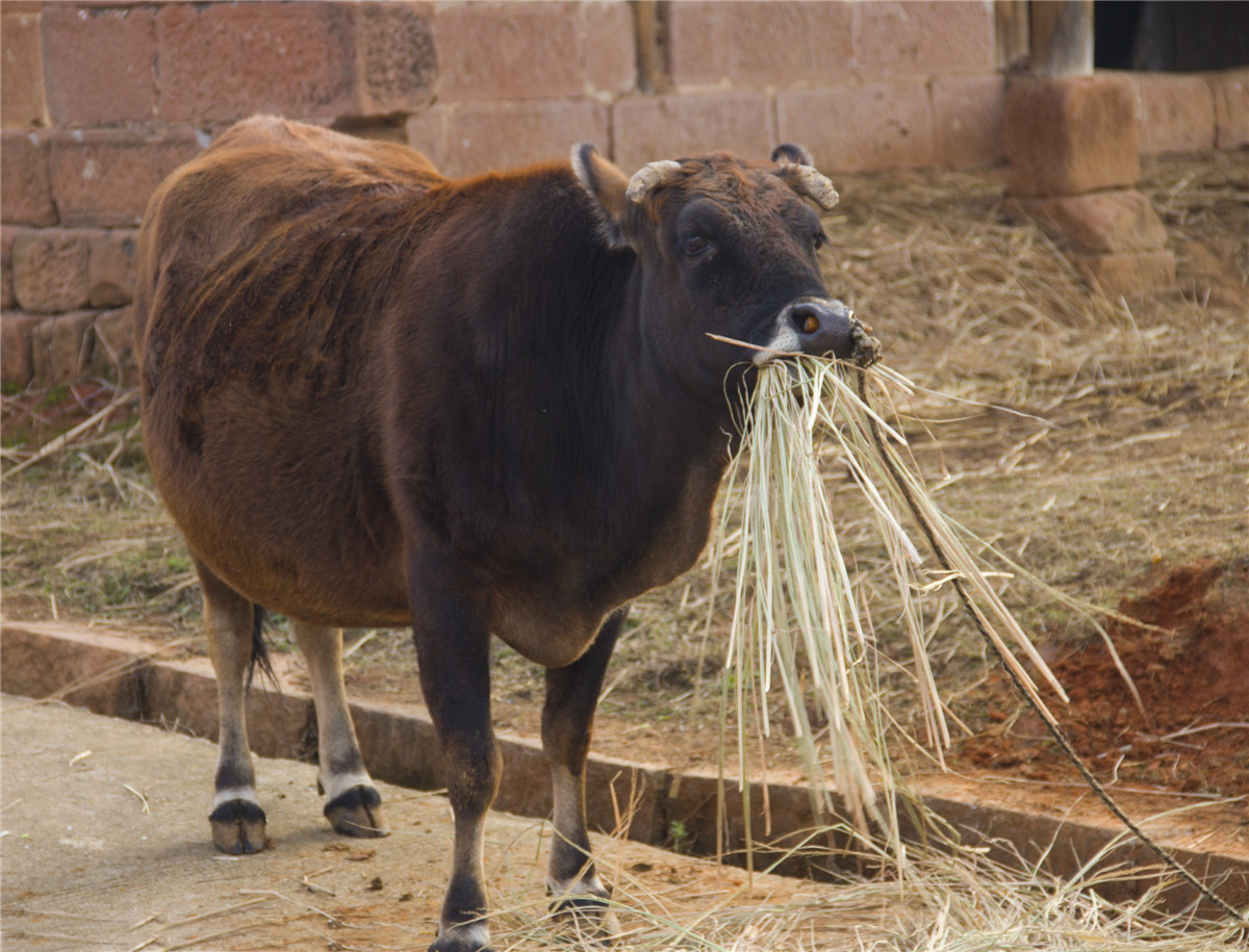 ũ����� (4).jpg