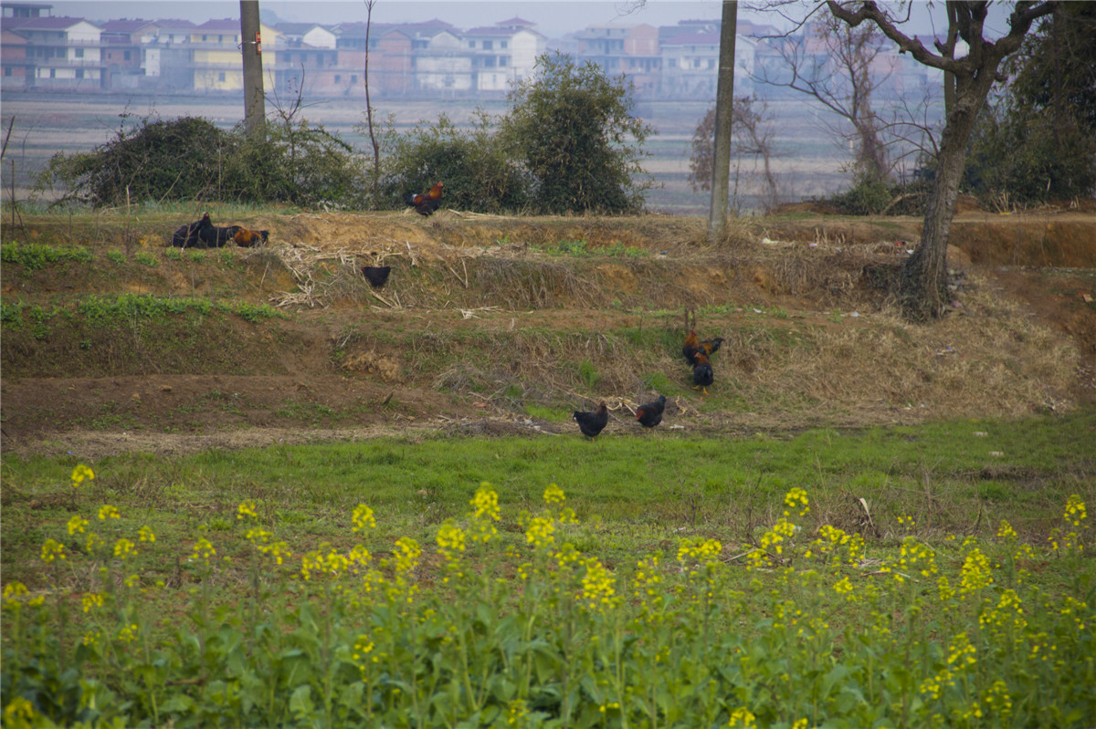 ũ����� (3).jpg