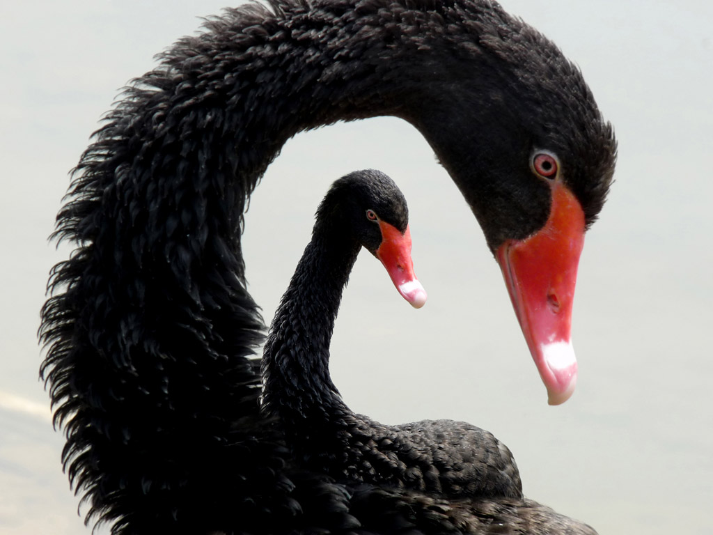 ĸ����л��� �㣩.jpg