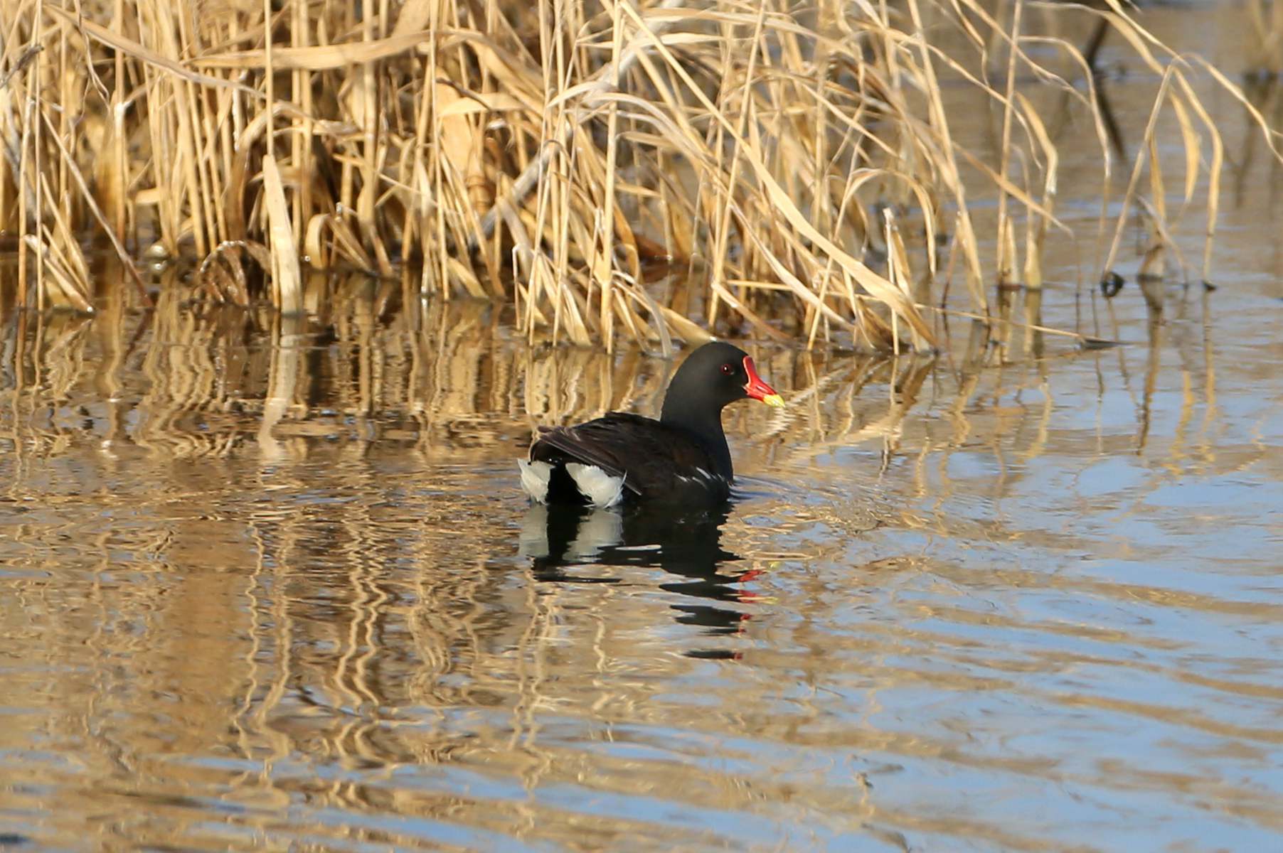 CW2Z0044 ˮ��2_����.jpg