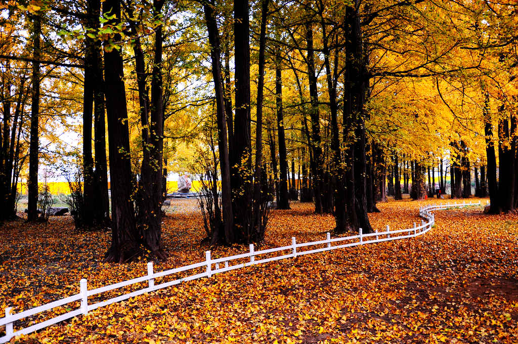 ������- 020.jpg