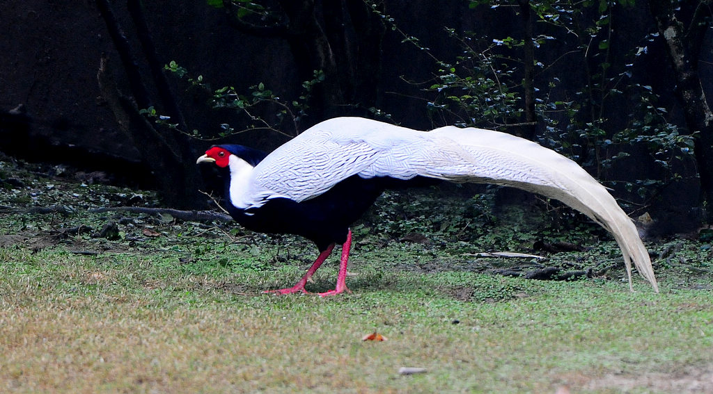 6�װ���  6.jpg