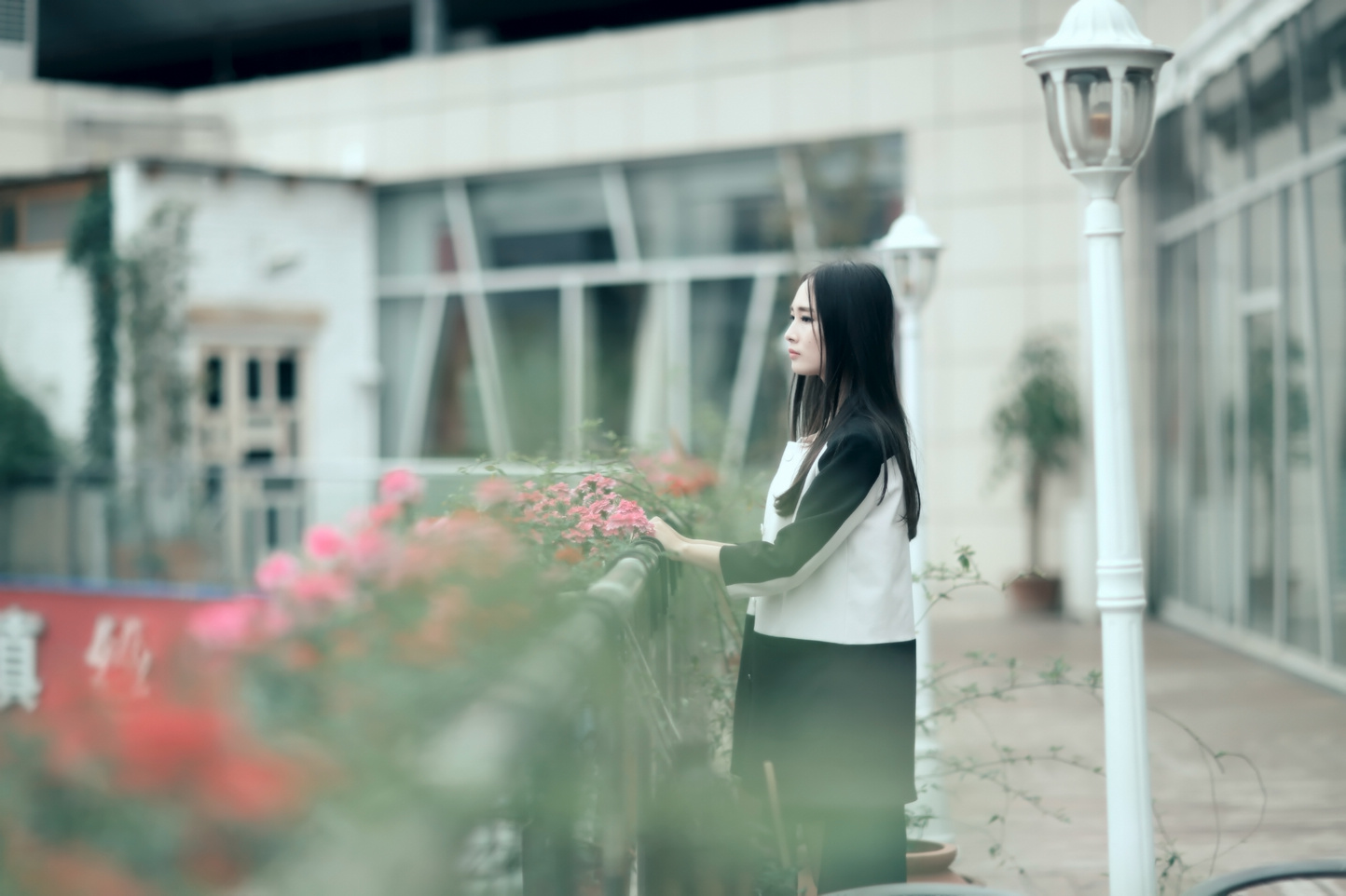 ��ŵ֮������ (6).jpg