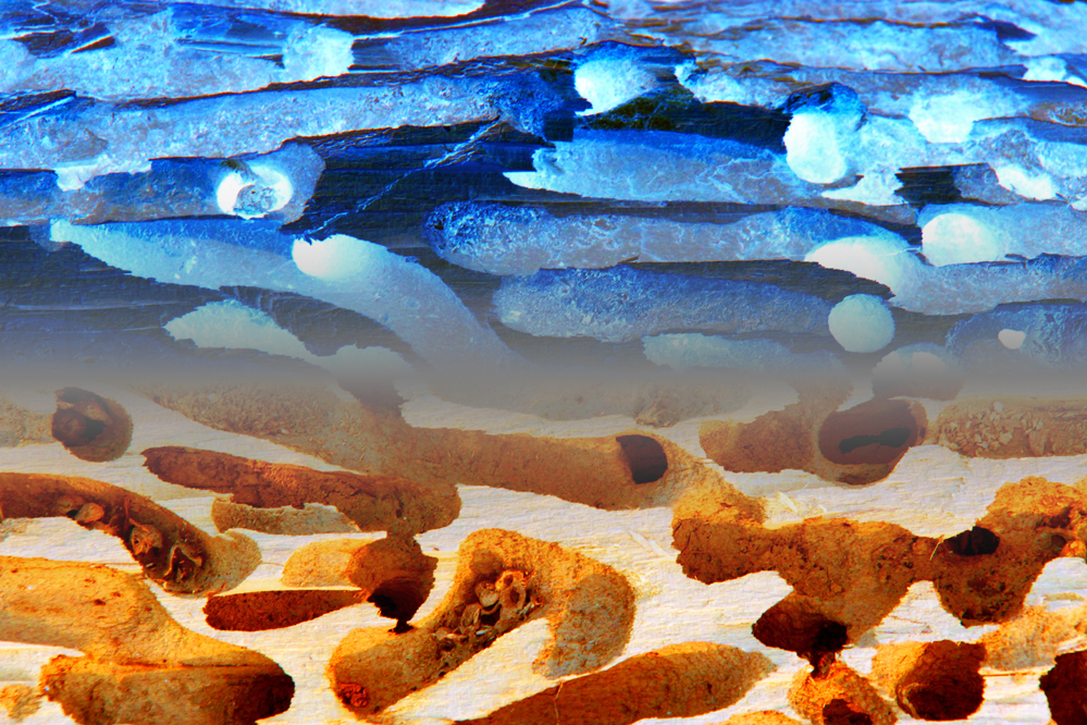 �����塷����� Hesitation��==.jpg