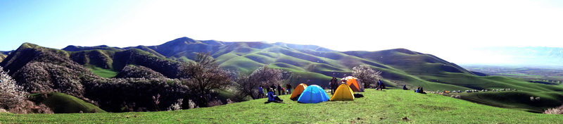 ��    ������