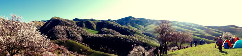 �ӻ���   ������