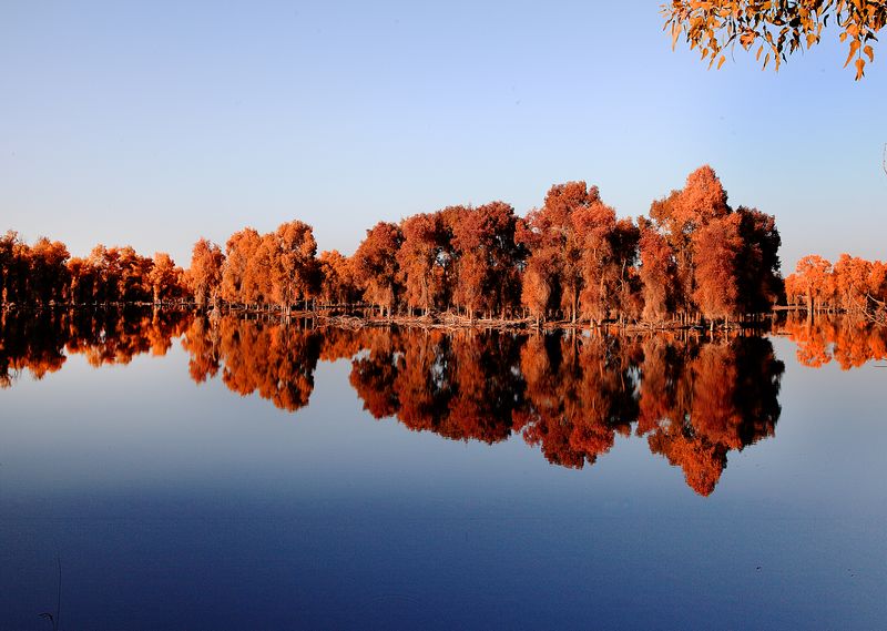 ���Ӻ��