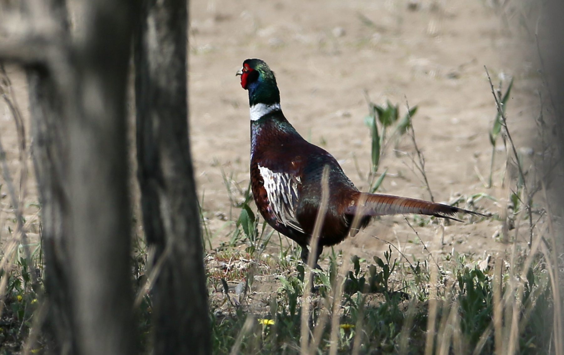 ���� (1).jpg