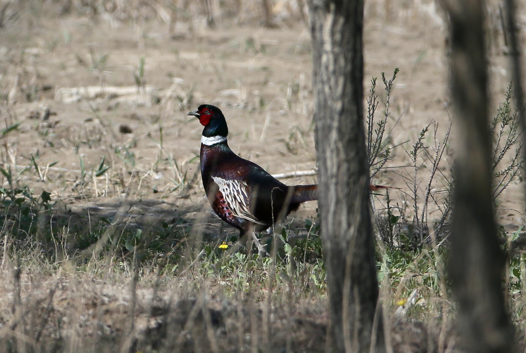 ���� (3).jpg