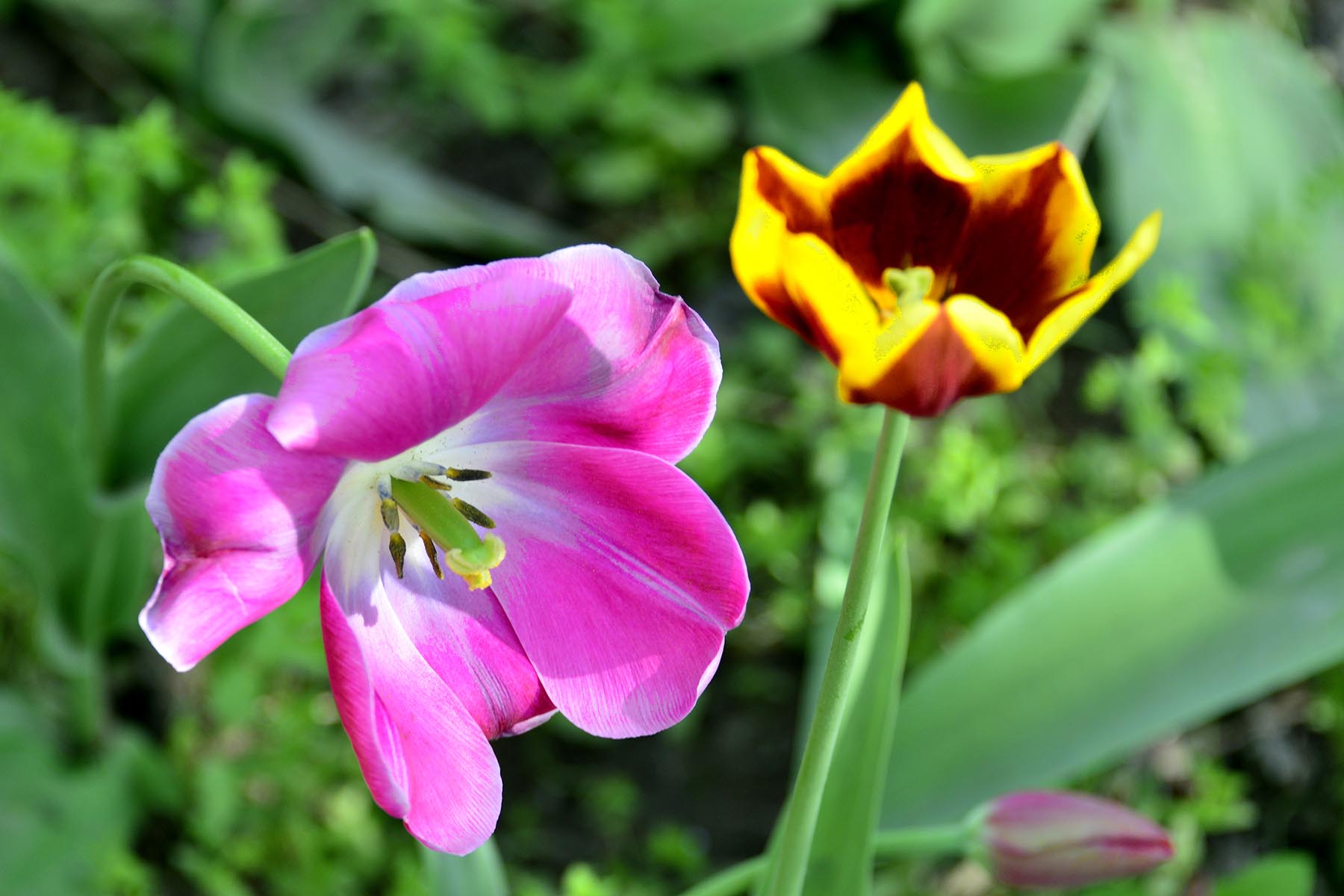 _����������԰һ����DSC9546 (199).jpg