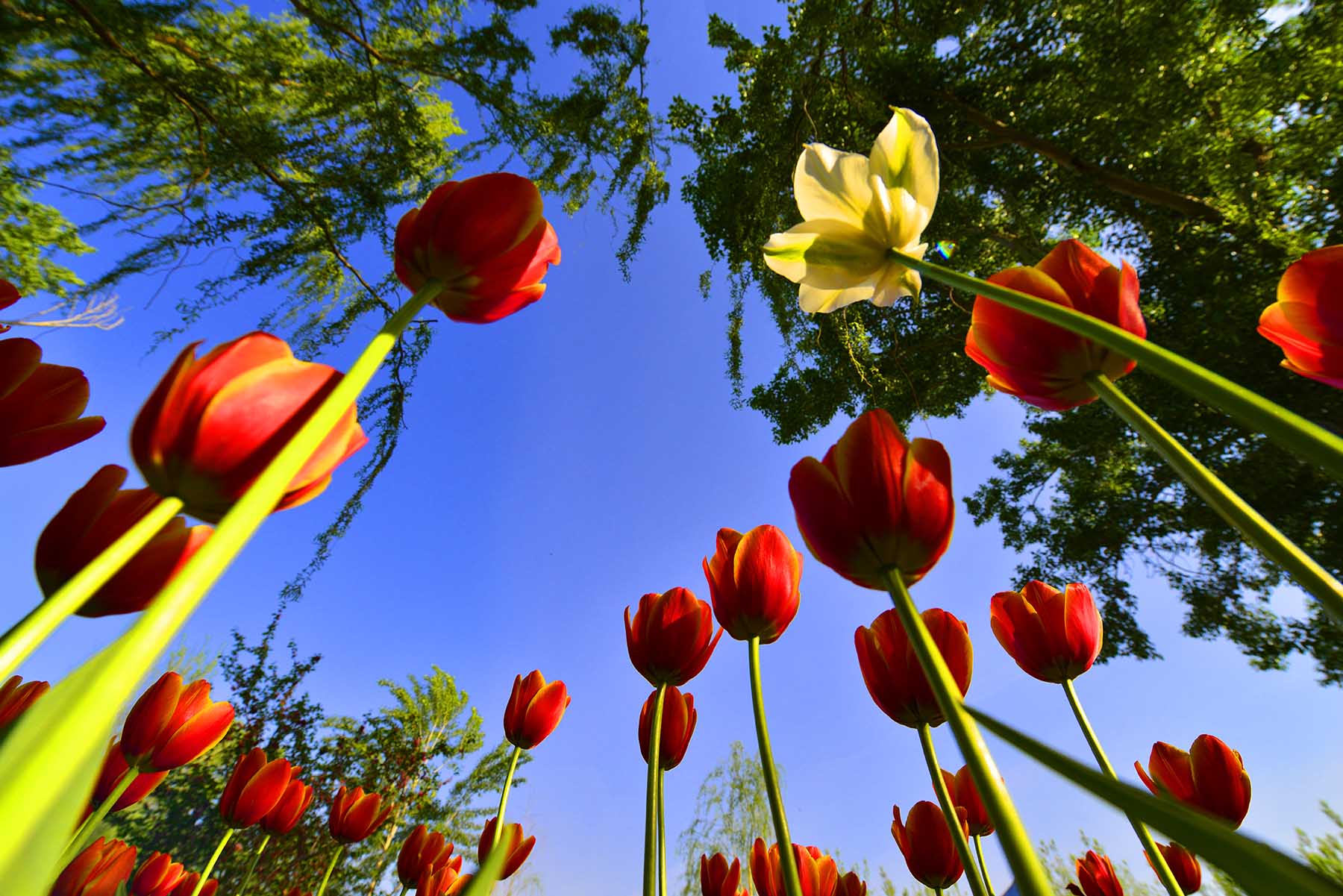 _����������԰һ����DSC9546 (94)����.jpg