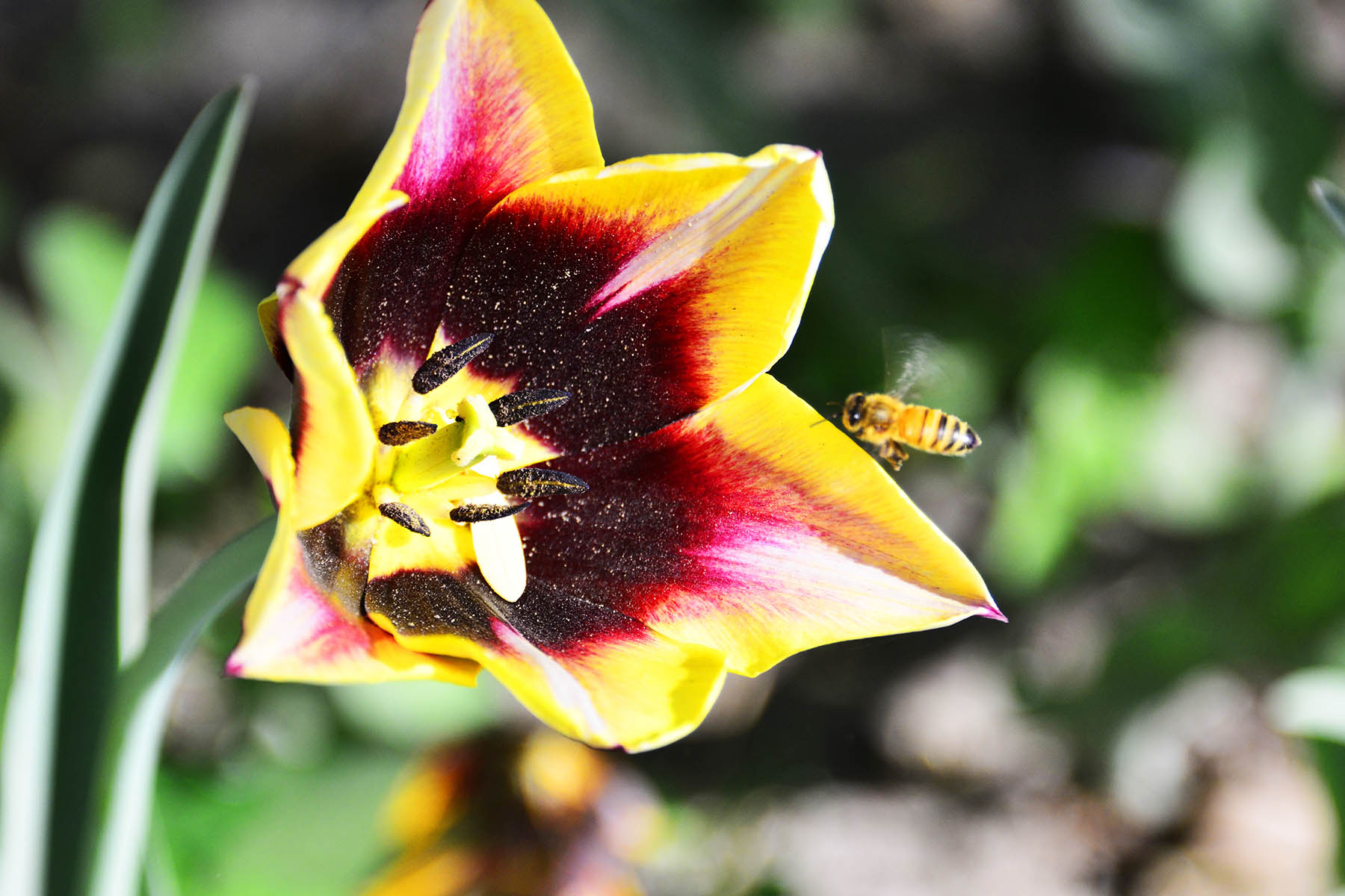 _����������԰һ����DSC9546 (249)����.jpg