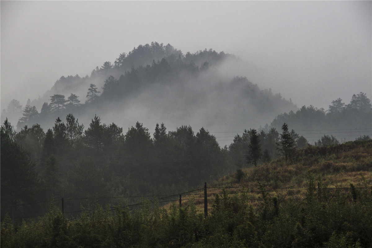 ɽ������ (1).jpg