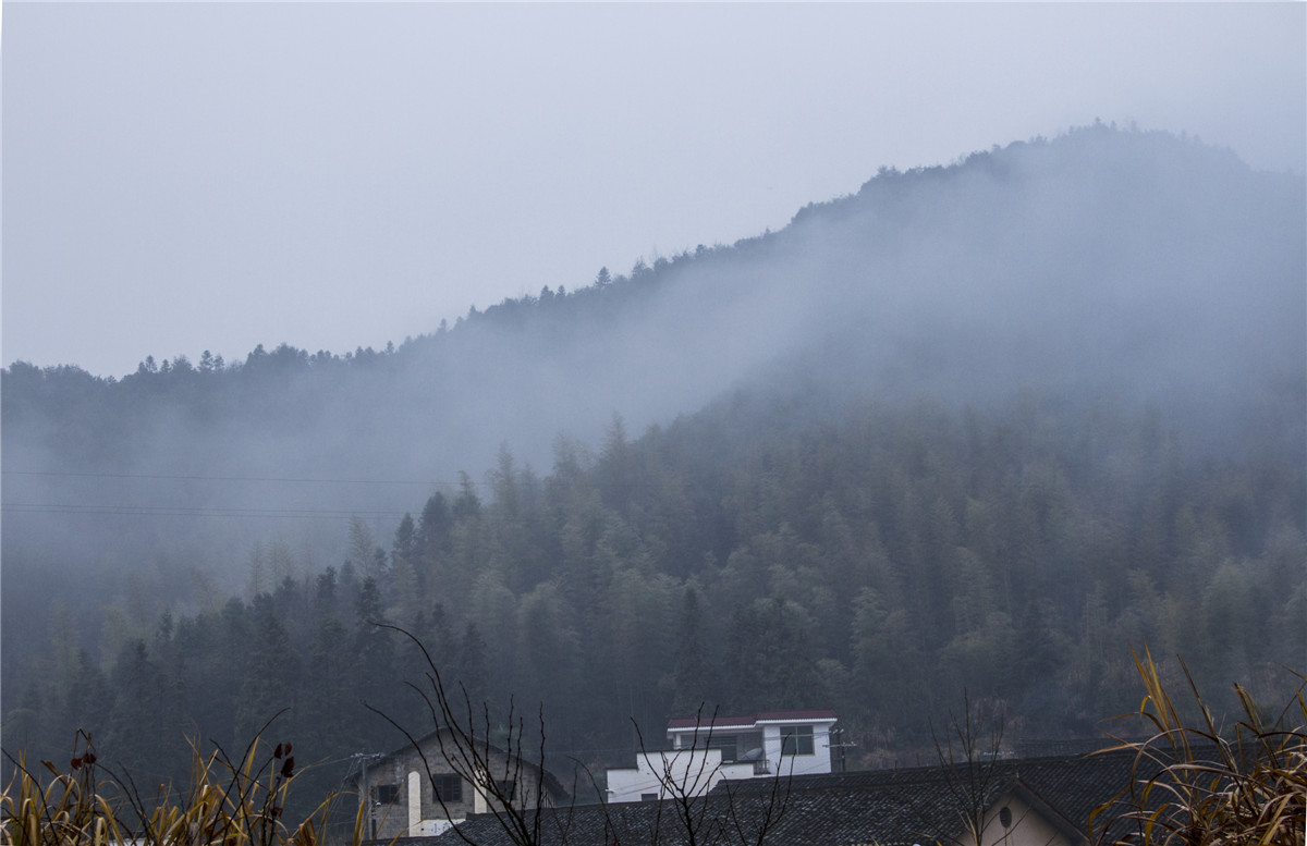 ɽ������ (2).jpg