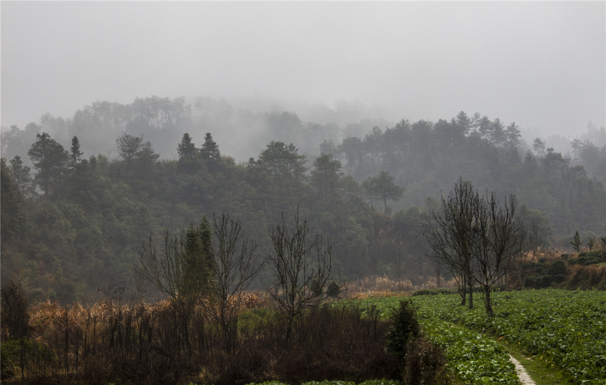 ɽ������ (3).jpg