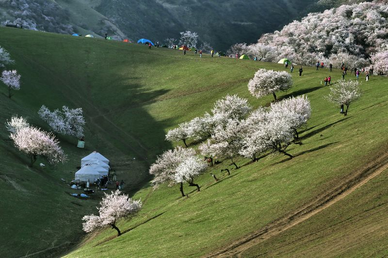 �ӻ�֮����